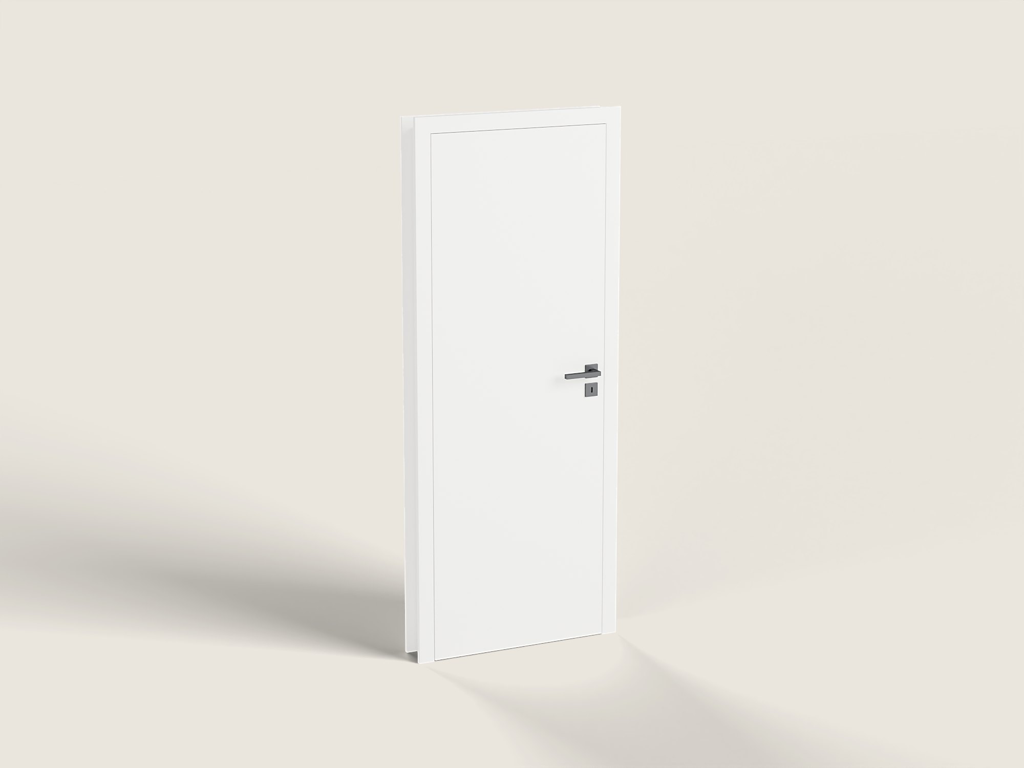 ZNM-009 Interior door, flush